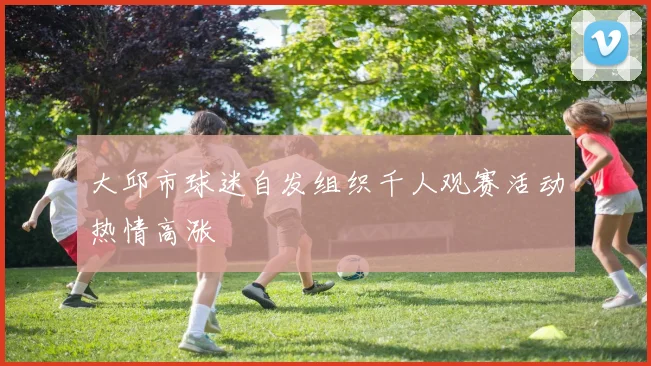 大邱市球迷自发组织千人观赛活动热情高涨