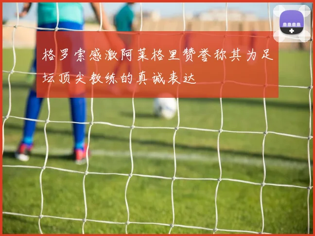 格罗索感激阿莱格里赞誉称其为足坛顶尖教练的真诚表达